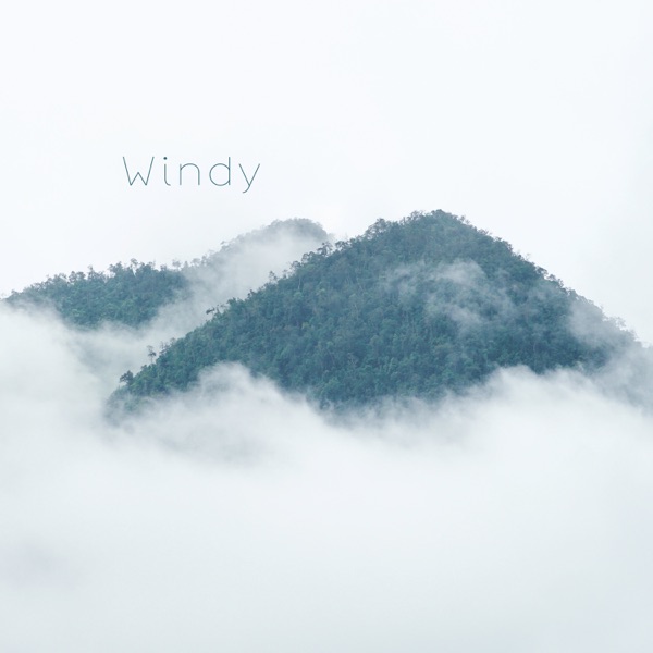 Windy - Single album cover
