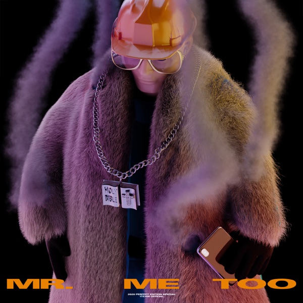 Mr. Me Too - Single album cover
