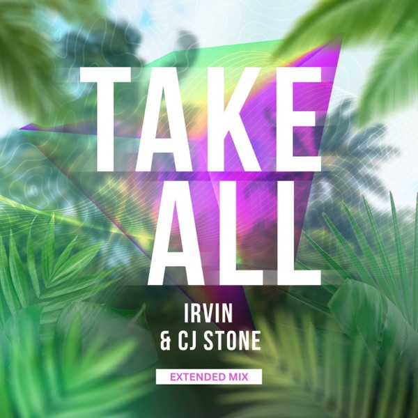Take All (Irvin & Cj Stone Extended Mix) - Single album cover