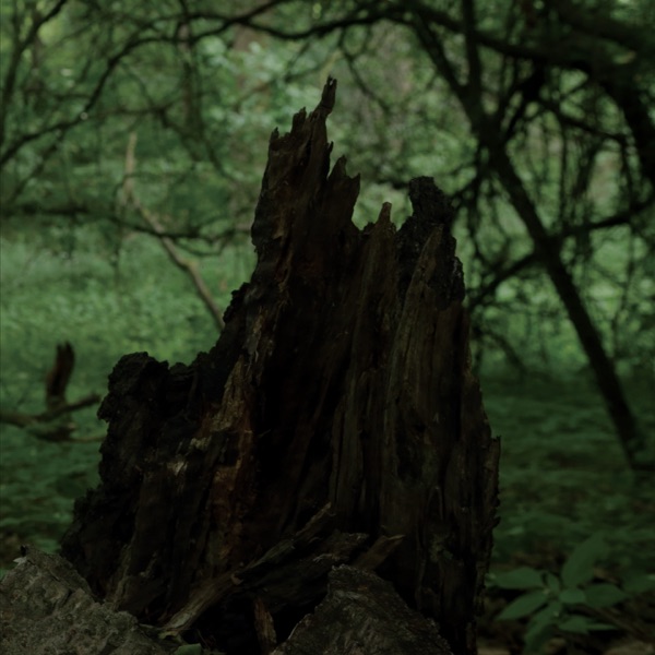 Unpaved (Bonus Track Version) - EP album cover