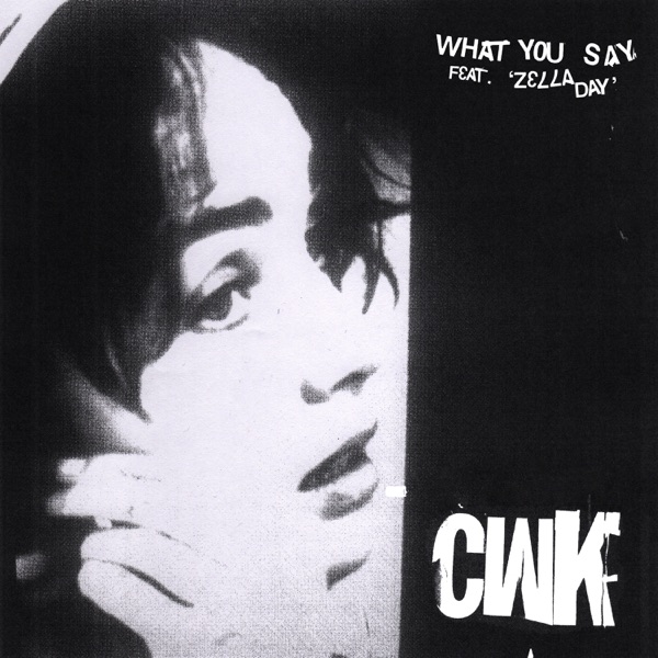 What You Say (feat. Zella Day) - Single album cover