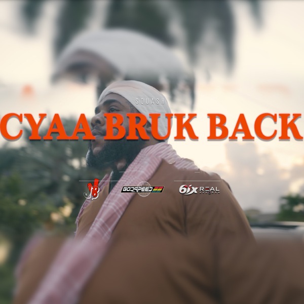 Cyaa Bruk Back - Single album cover