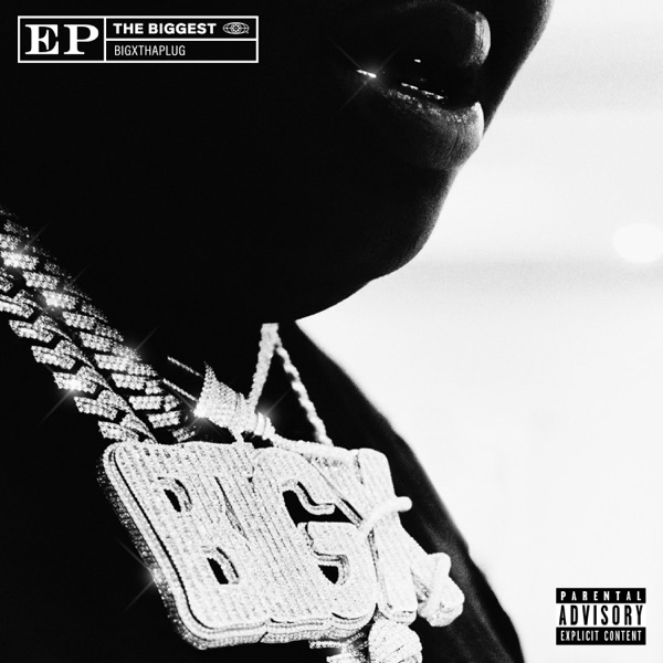 THE BIGGEST album cover