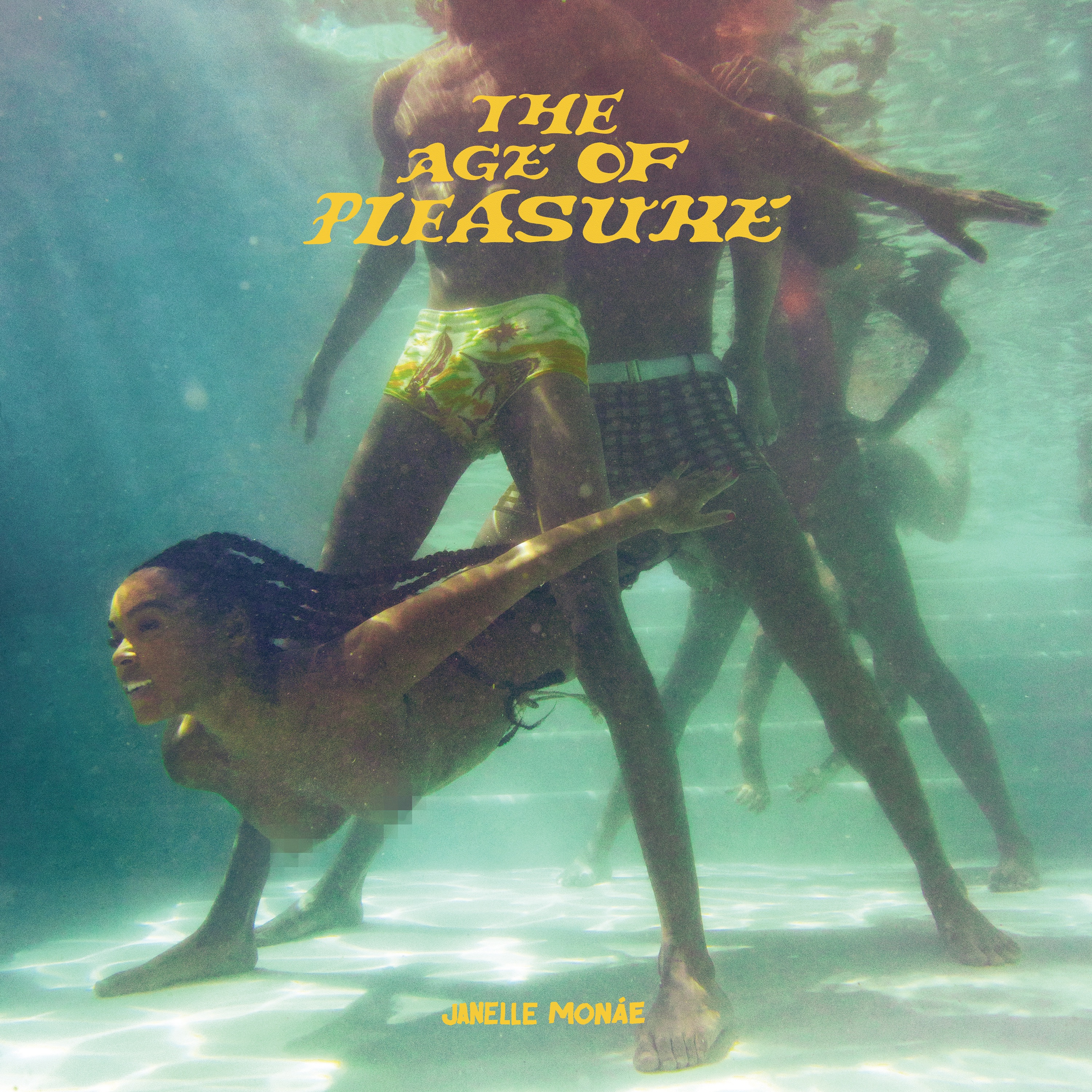 The Age of Pleasure album cover