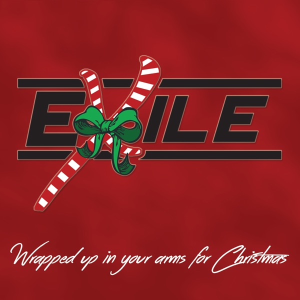 Wrapped Up in Your Arms for Christmas album cover
