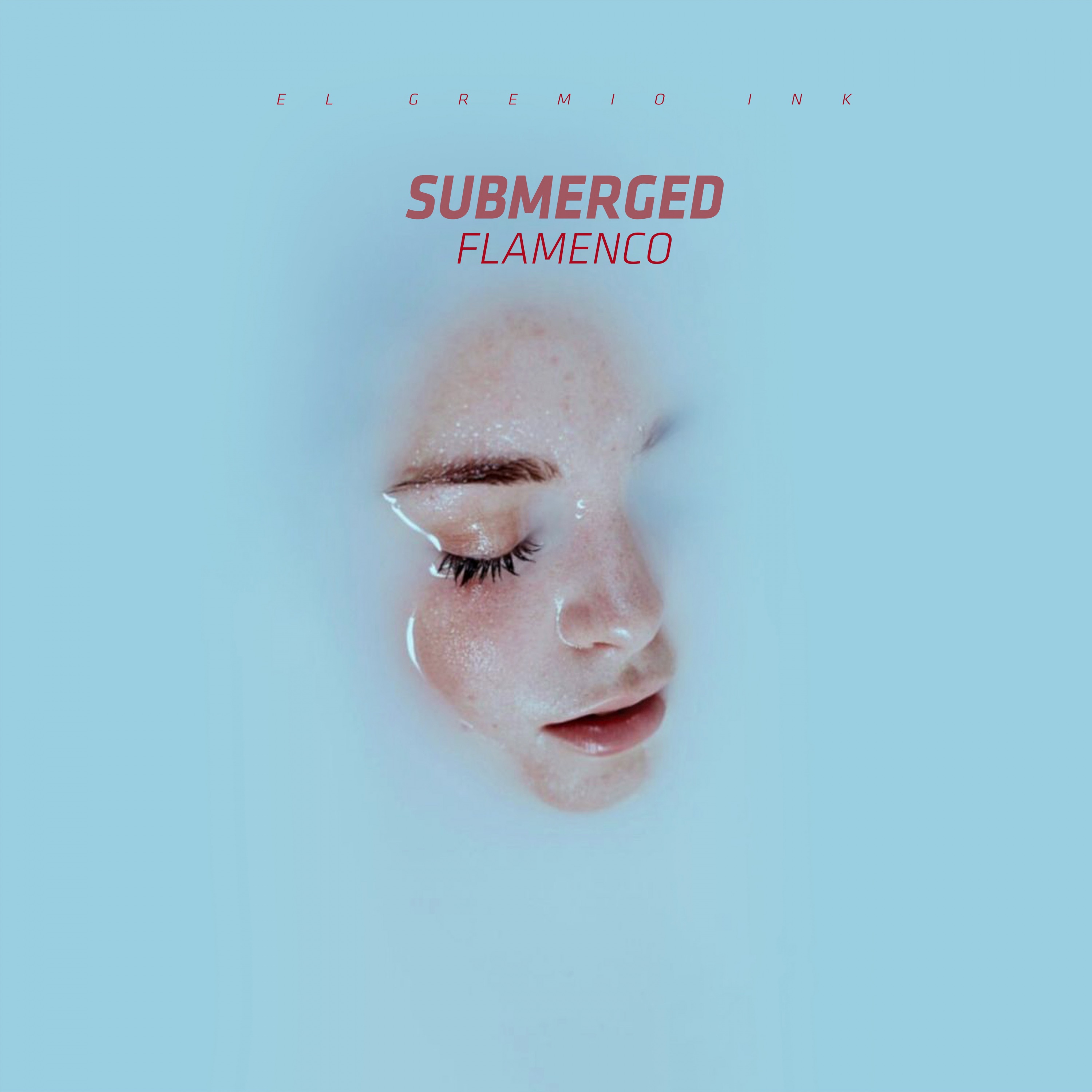 Submerged Flamenco album cover