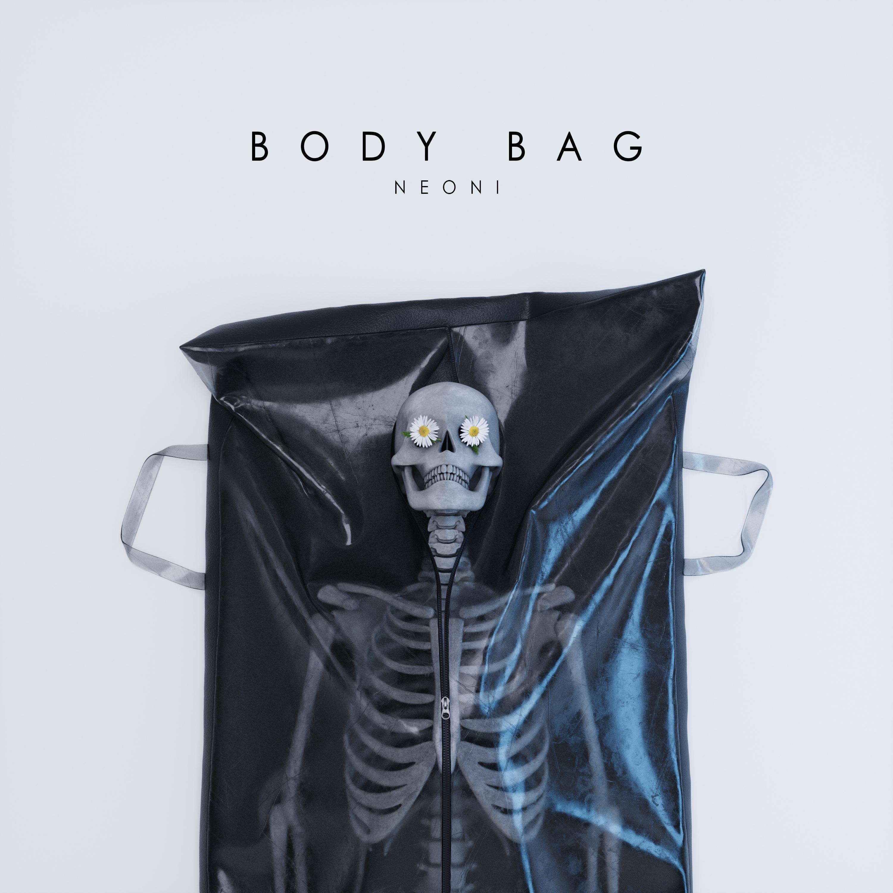 Body Bag - Single album cover