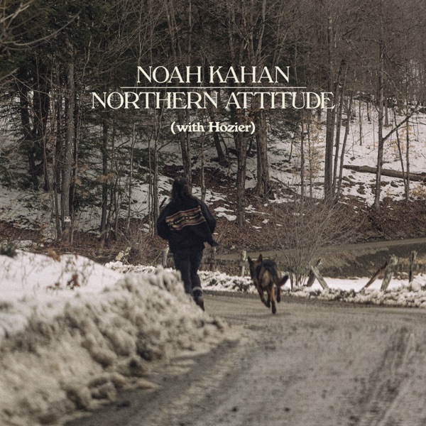 Northern Attitude - Single album cover