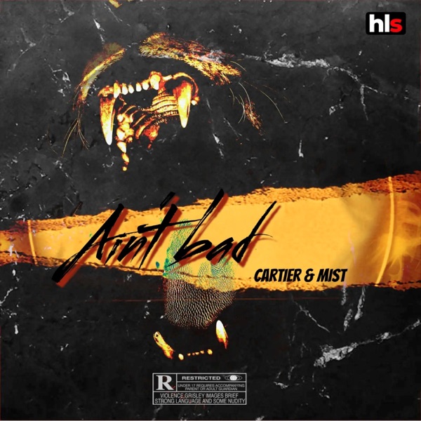 Ain't Bad (feat. MIST) - Single album cover