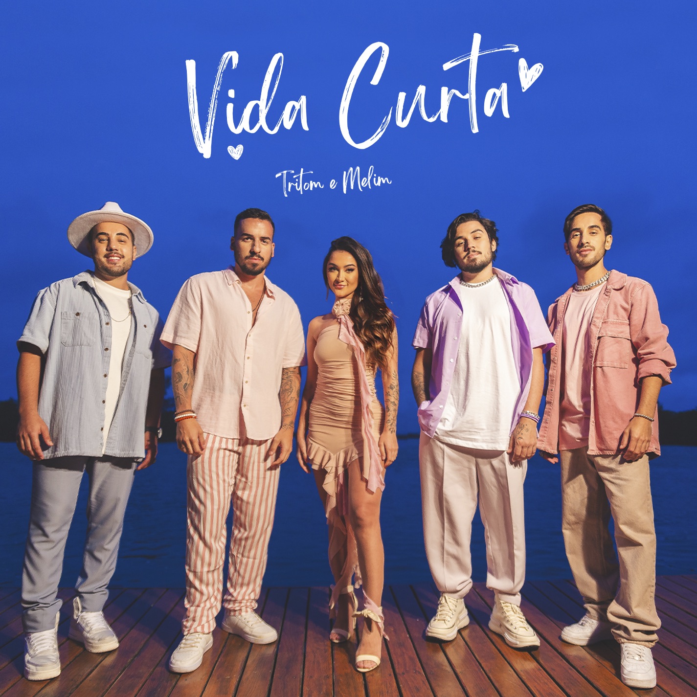 Vida Curta - Single album cover