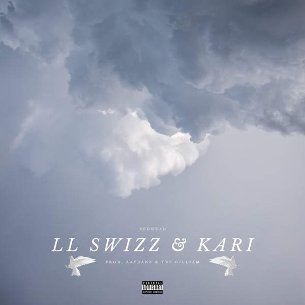 LL Swizz & Kari - Single album cover