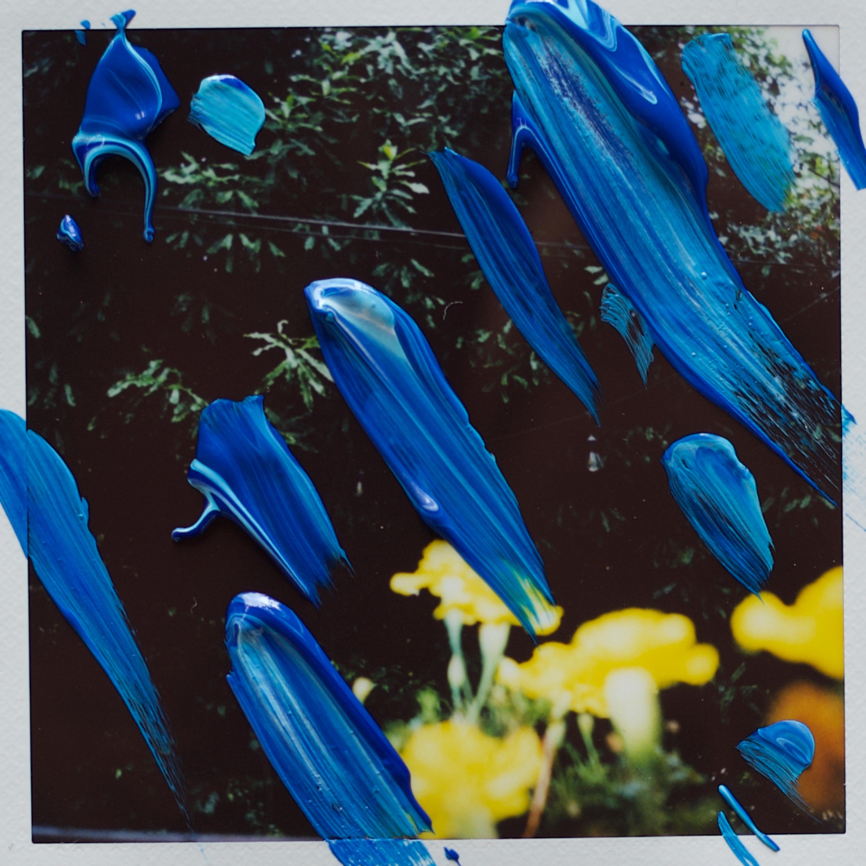 Monkey's Wedding - Single album cover