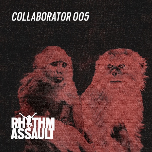 Collaborator 005 - EP album cover