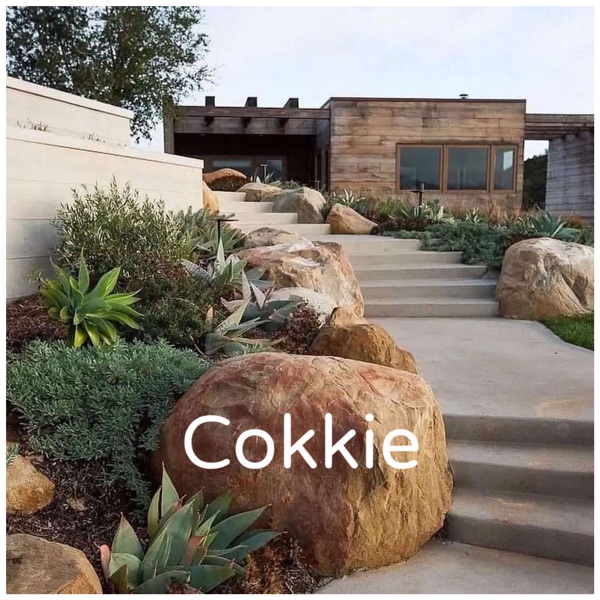 Cokkie album cover