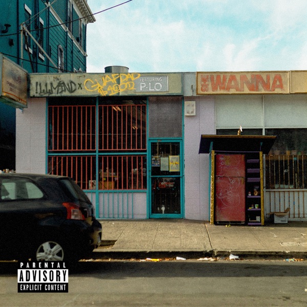 She Wanna (feat. P-Lo) - Single album cover