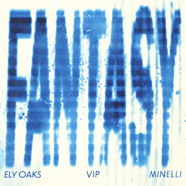 Fantasy (VIP Remix) - Single album cover