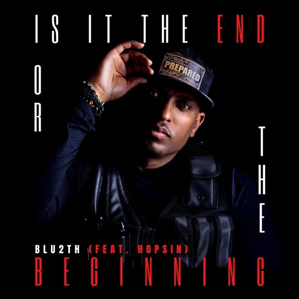 Is It the End Or the Beginning (feat. Hopsin) - Single album cover