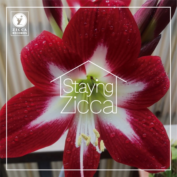 Staying Zicca album cover