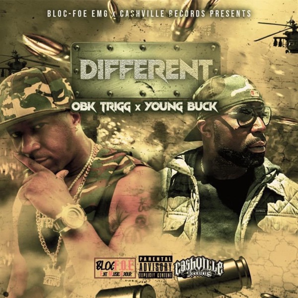Different (feat. Young Buck) - Single album cover