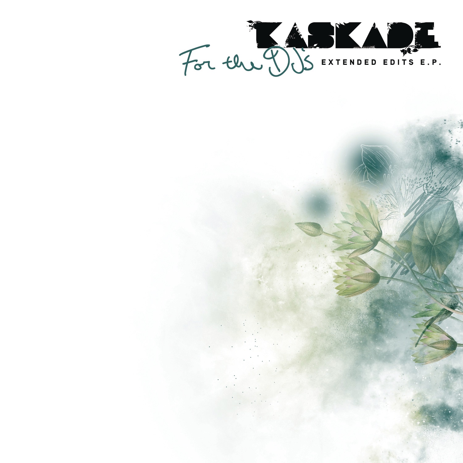 For The DJs (Extended Edits EP) album cover