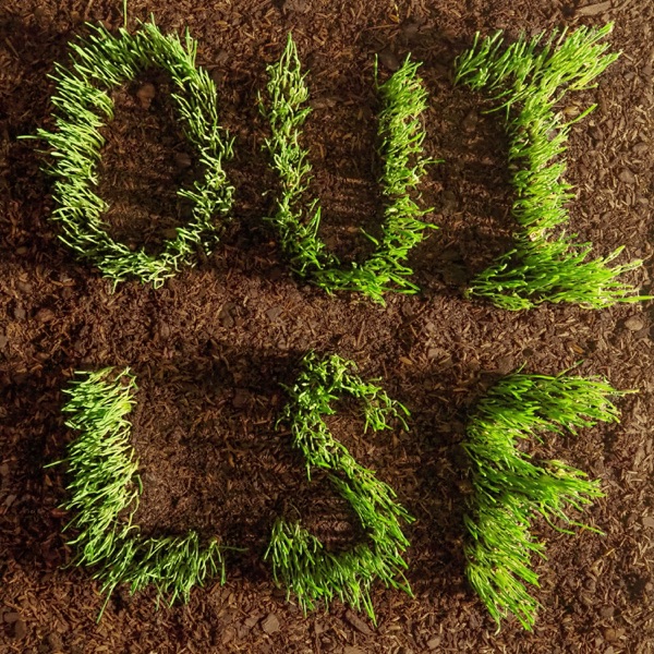 OUI, LSF album cover