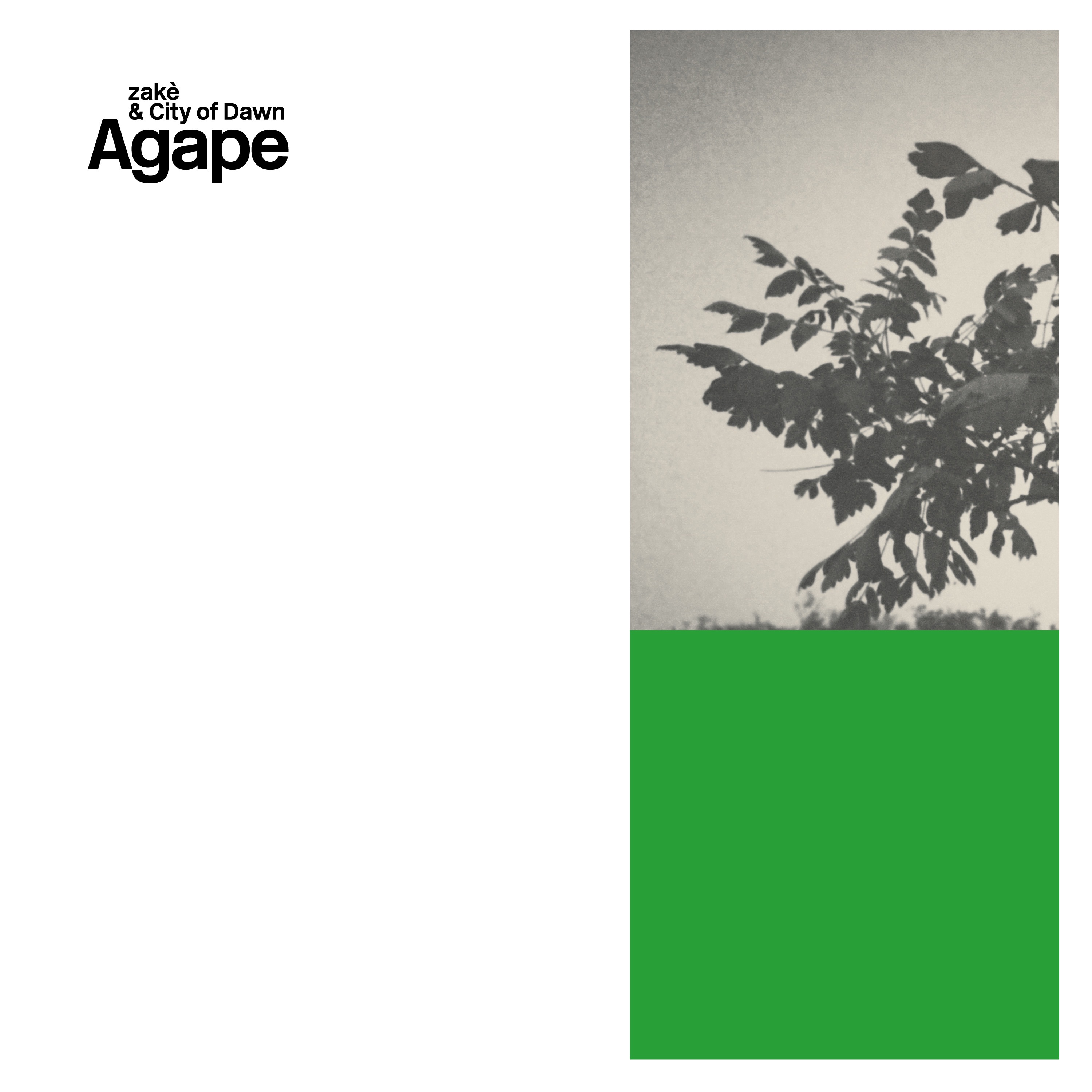 Agape album cover