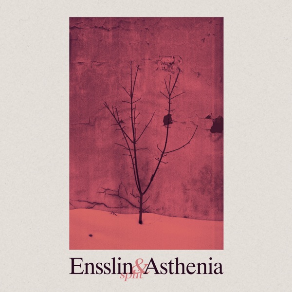 Split 7" with Asthenia - Single album cover