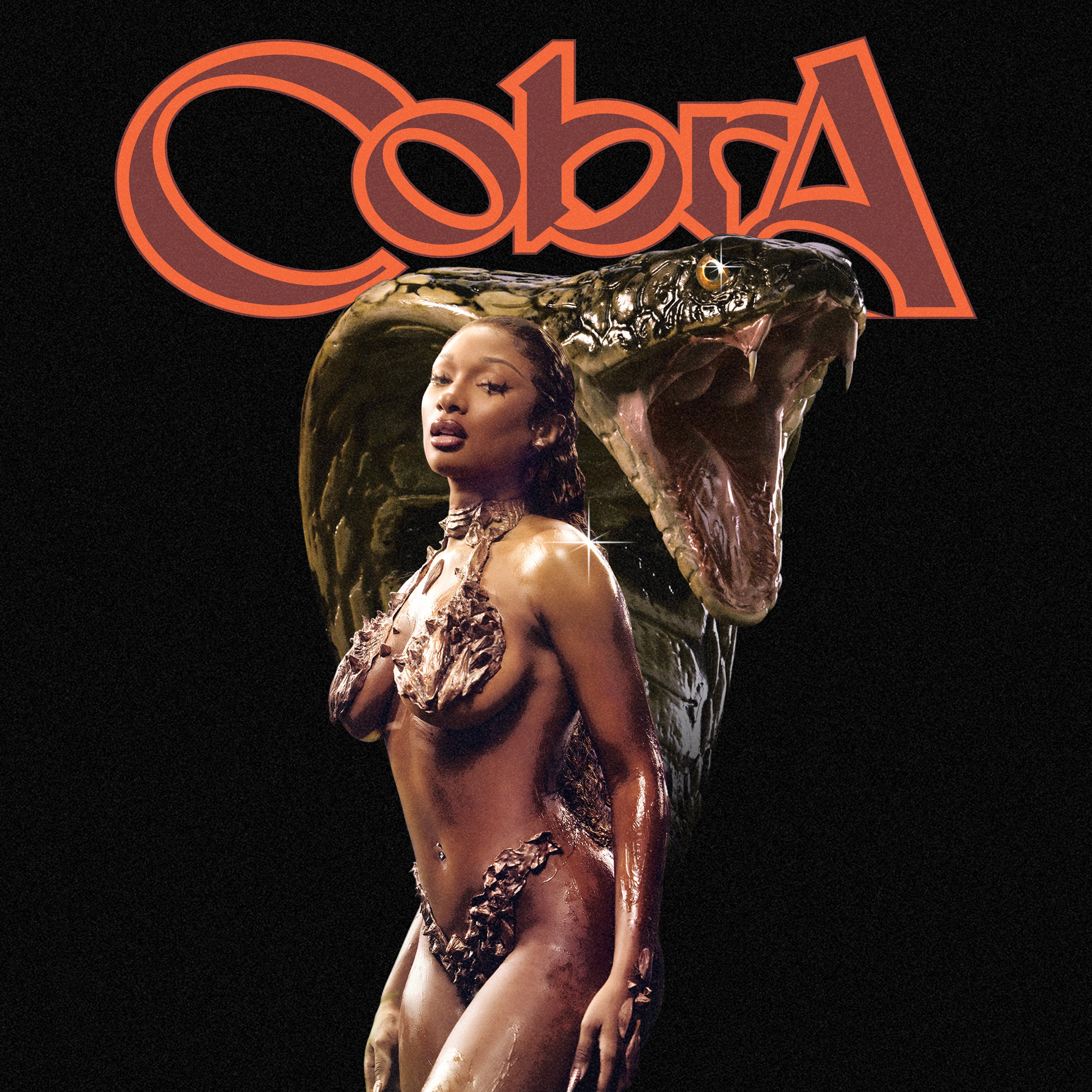 Cobra - Single album cover