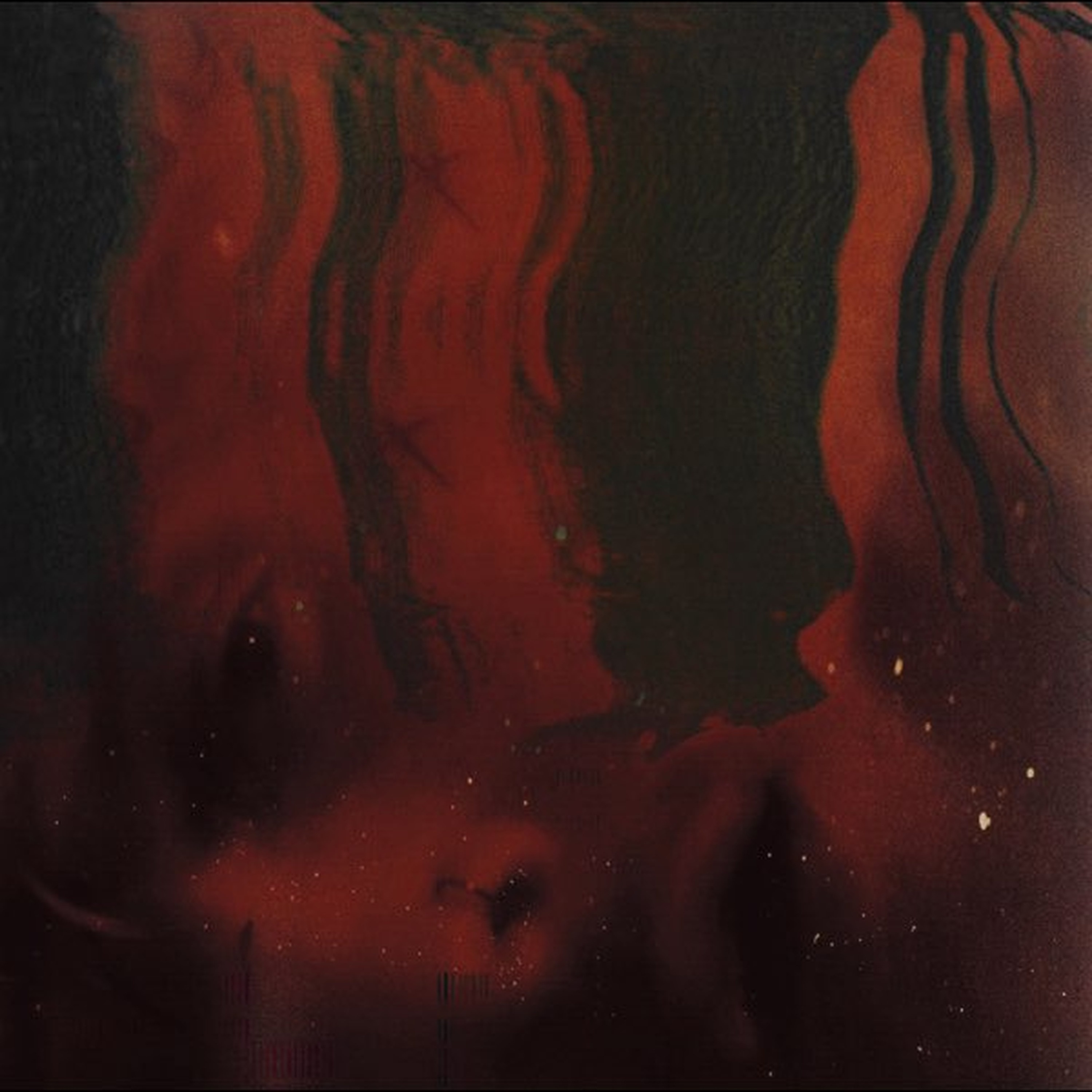 Cephalotus - Single album cover