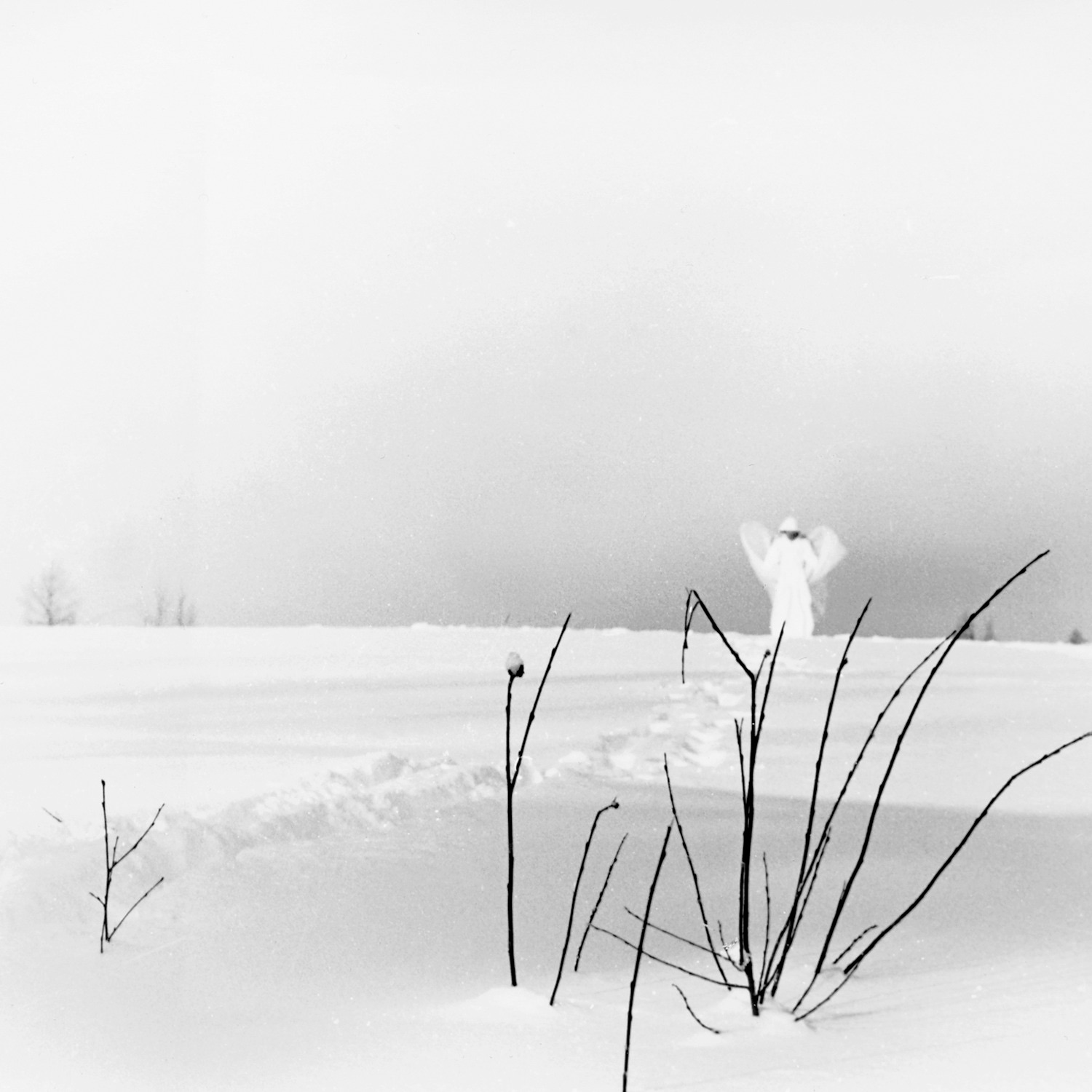 In Frostigen Tälern album cover