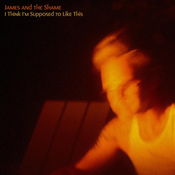 I Think I'm Supposed to Like This - Single album cover