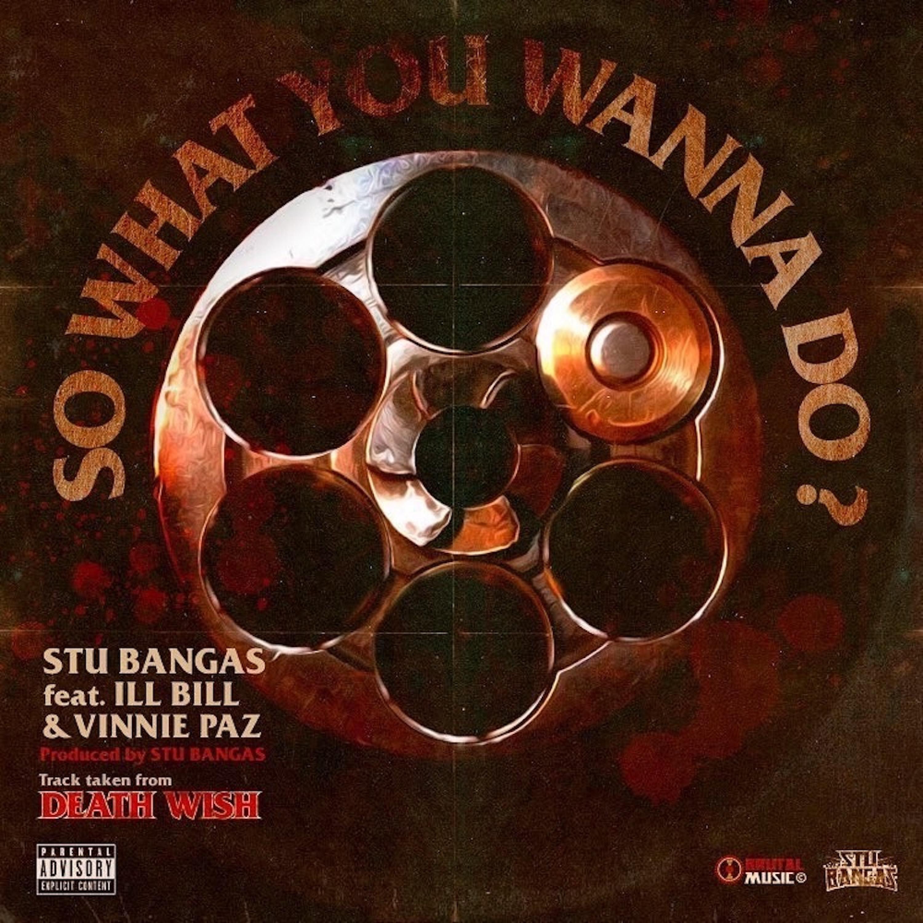 So What You Wanna Do (feat. Vinnie Paz) - Single album cover