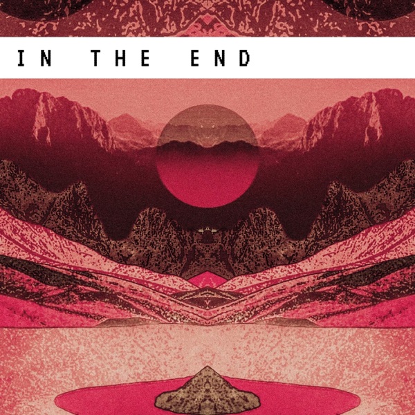 In the End - Single album cover