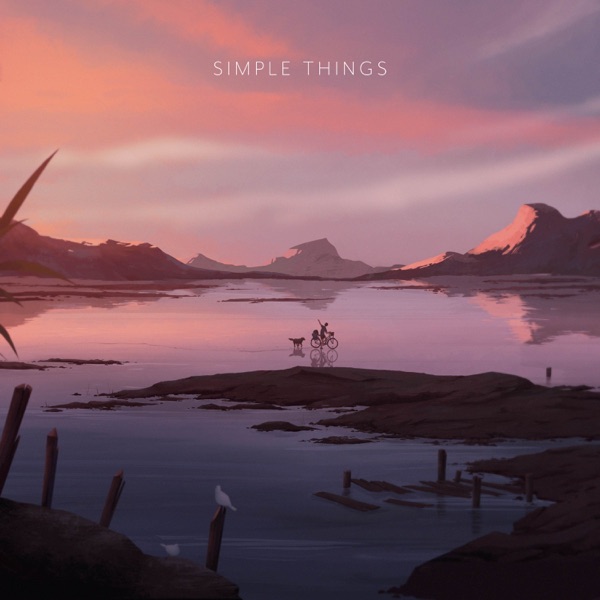 Simple Things album cover