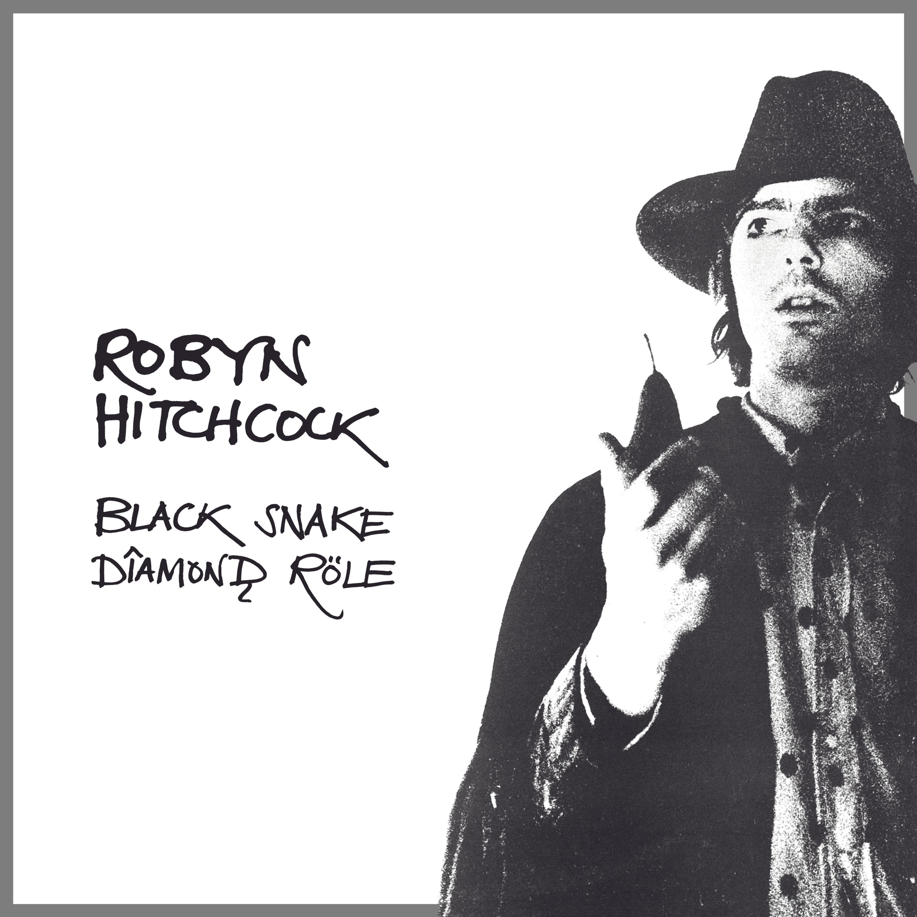 Black Snake Diamond Röle album cover