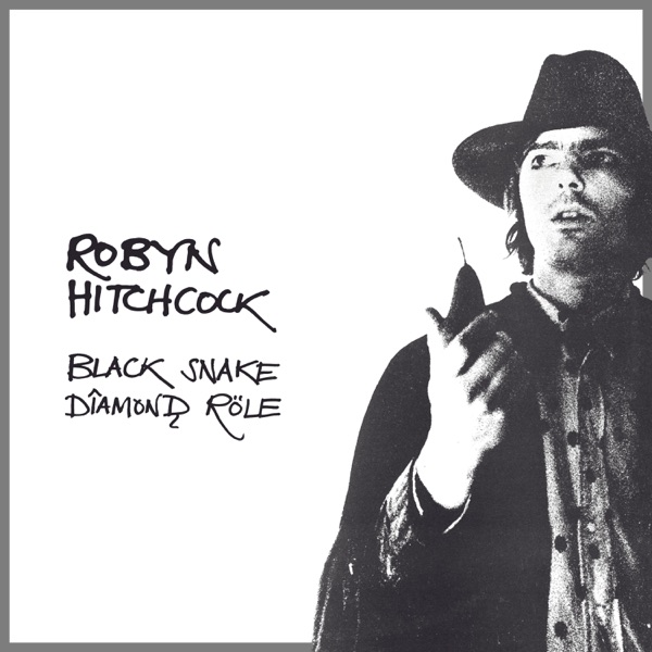 Black Snake Diamond Röle album cover