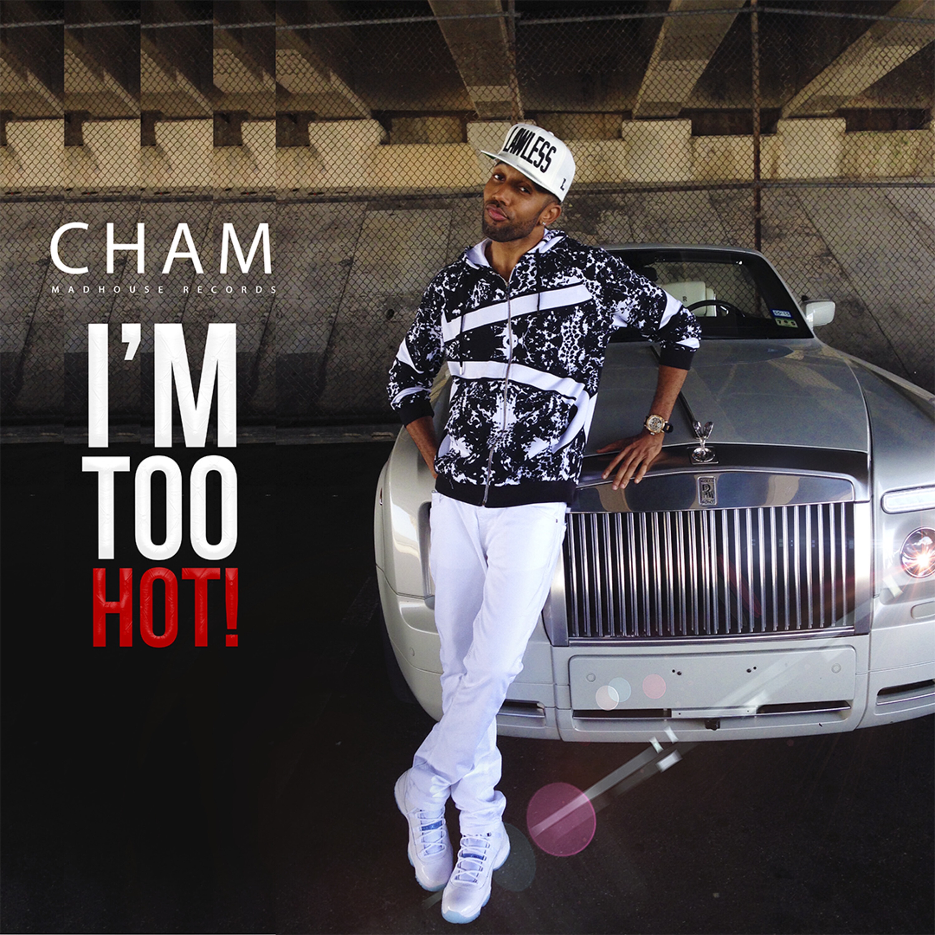 I'm Too Hot! - Single album cover
