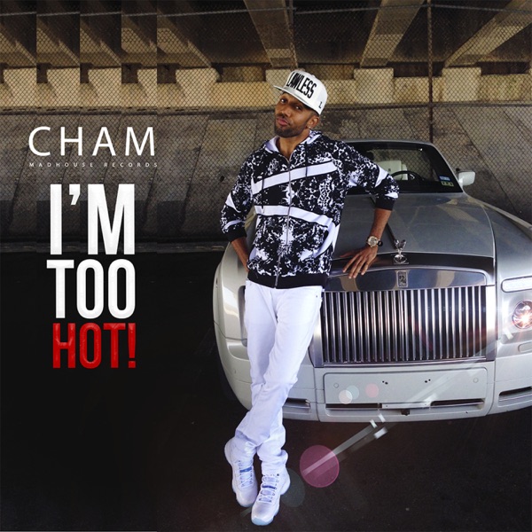 I'm Too Hot! - Single album cover
