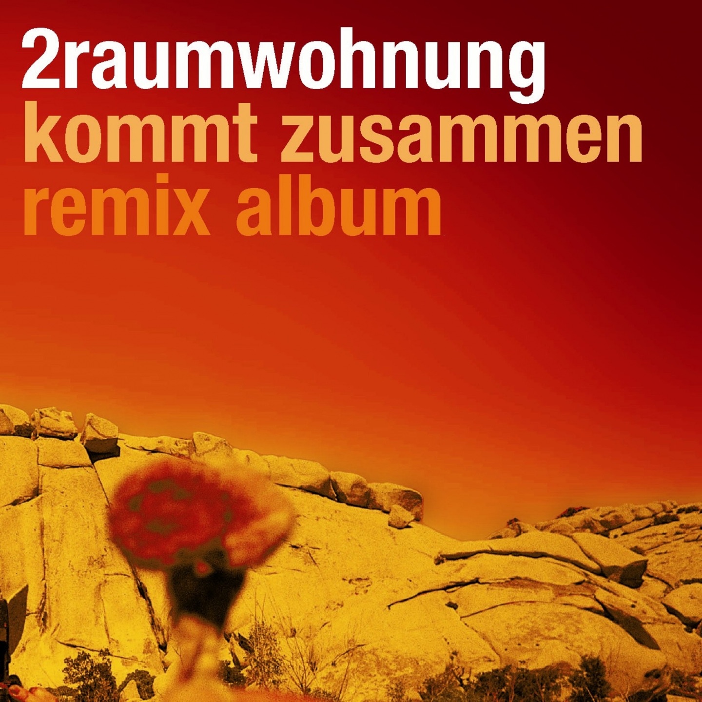 Kommt zusammen (Remix Album) album cover