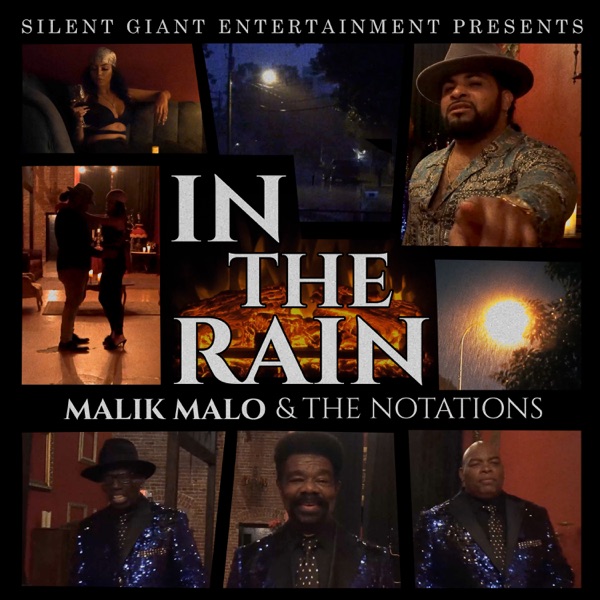 In the Rain - Single album cover