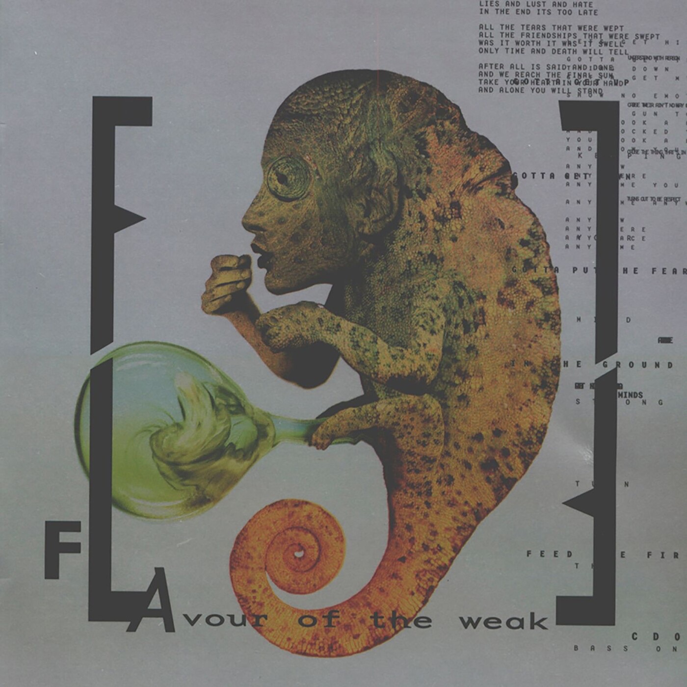 Flavour of the Weak album cover