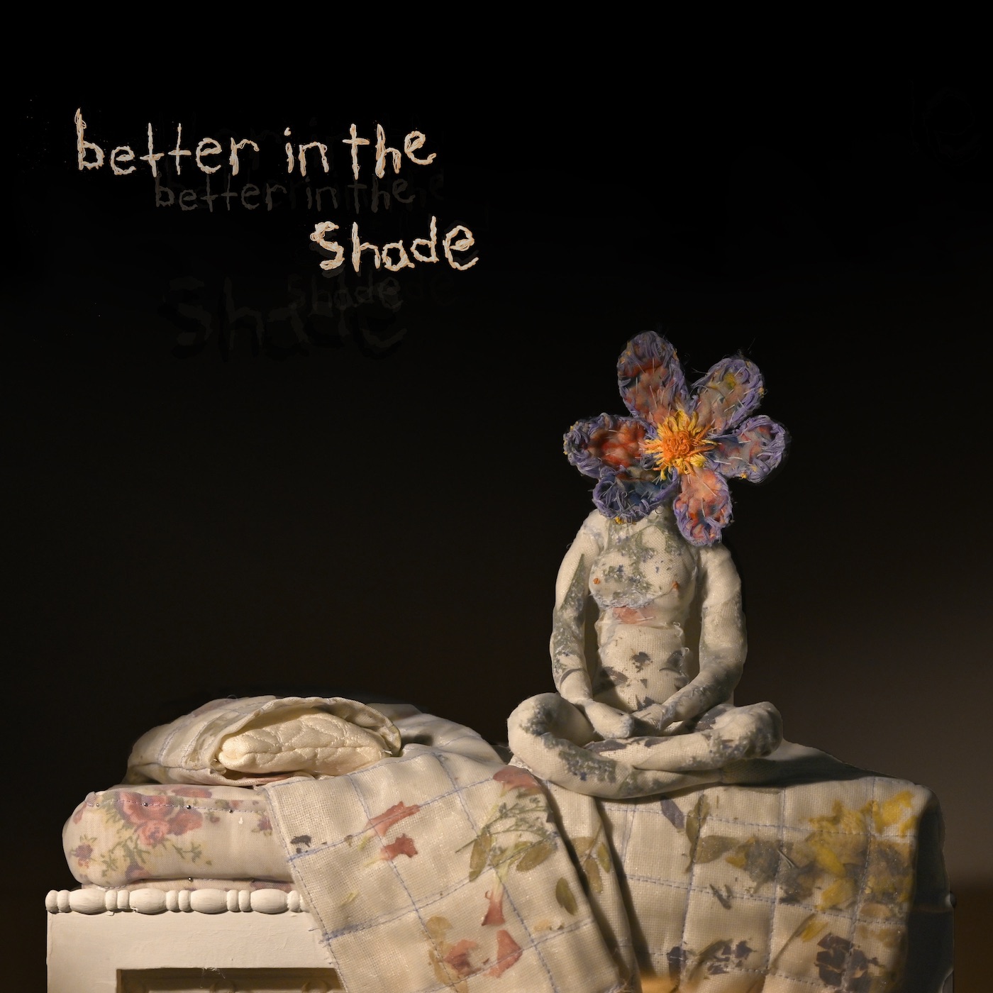 Better in the Shade album cover