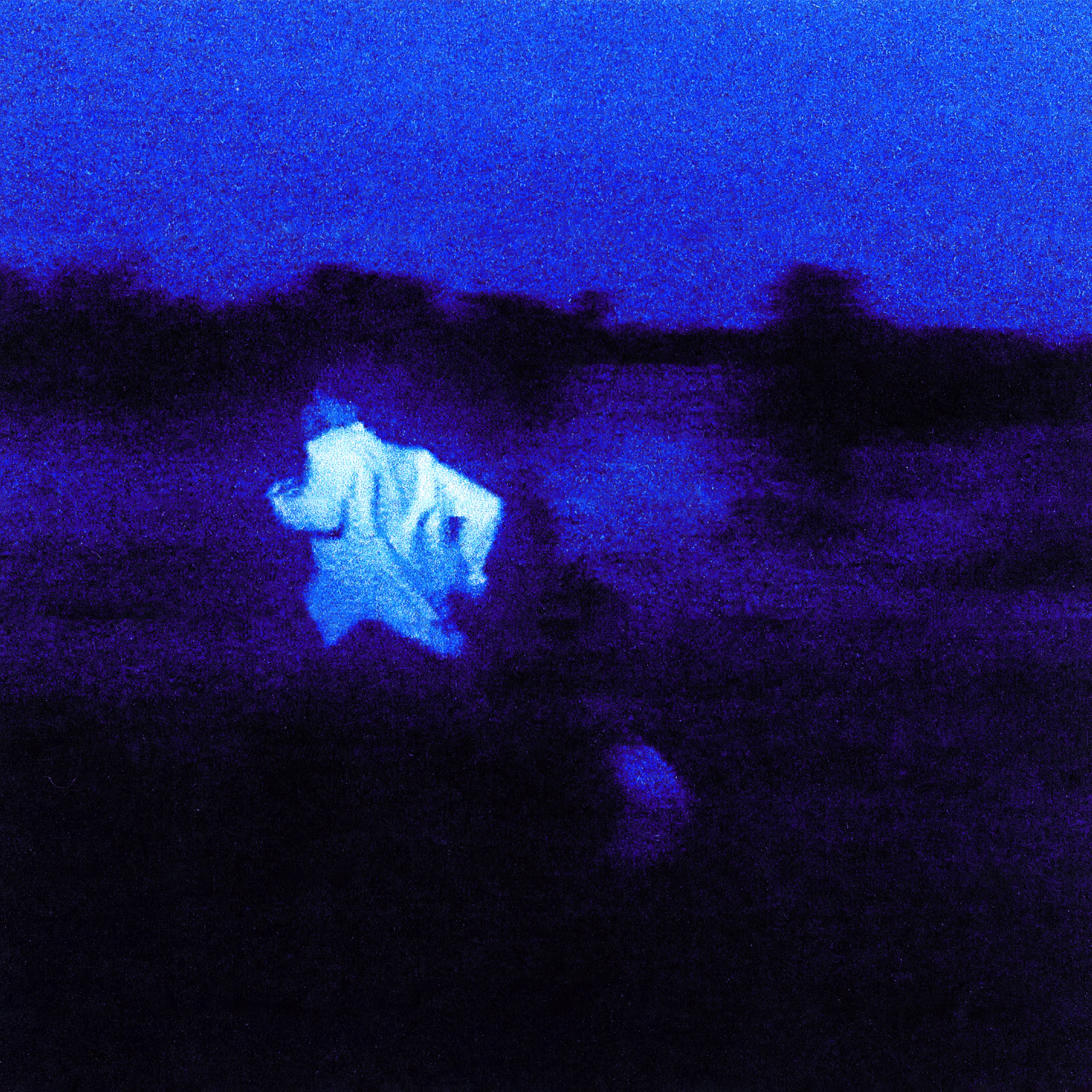 NEVER ENOUGH album cover