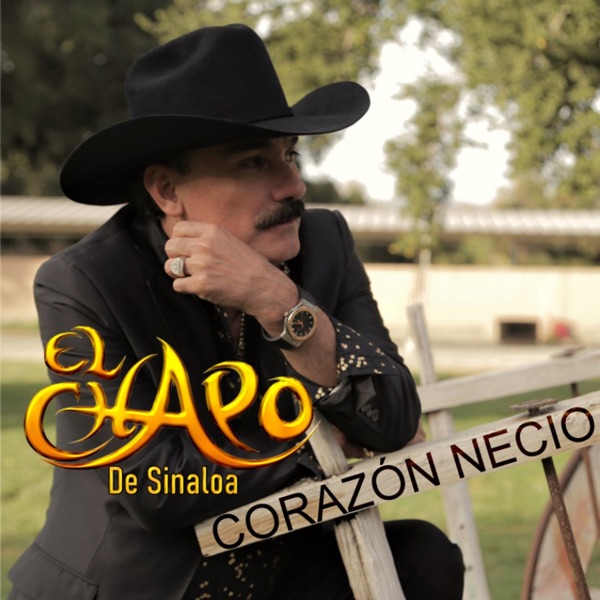 Corazón Necio album cover