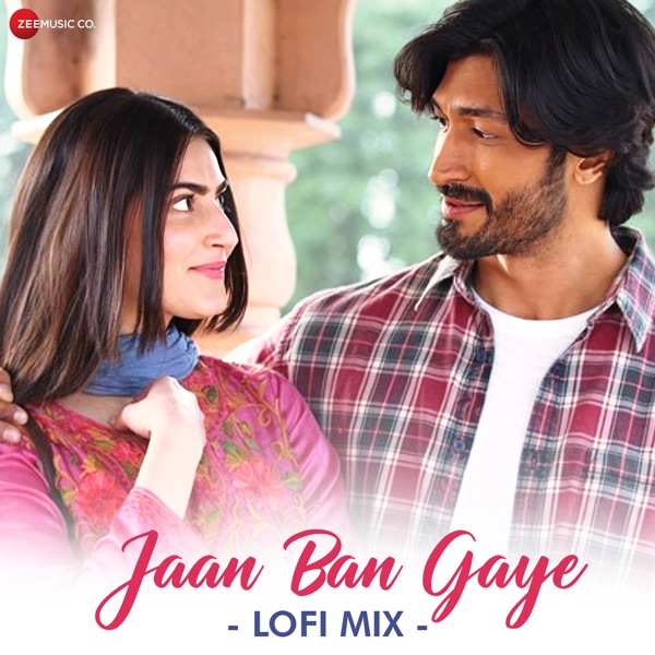 Jaan Ban Gaye - Lofi Mix by DJ Raahul Pai & Deejay Rax - Single album cover