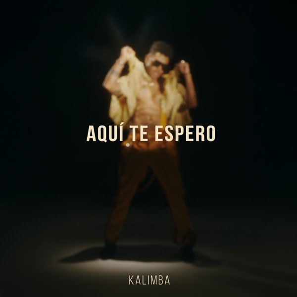 Aquí te espero - Single album cover