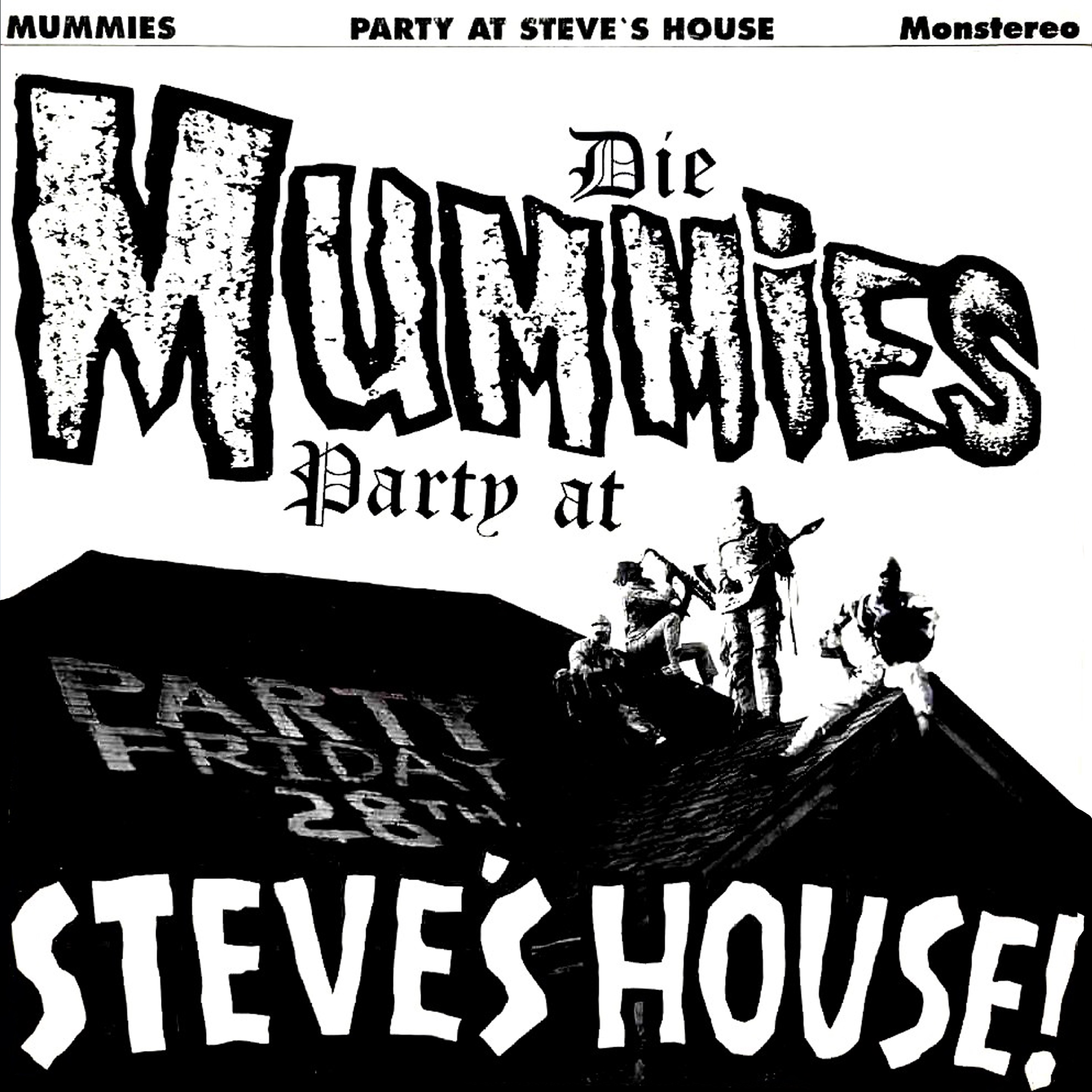 Party at Steve's House album cover