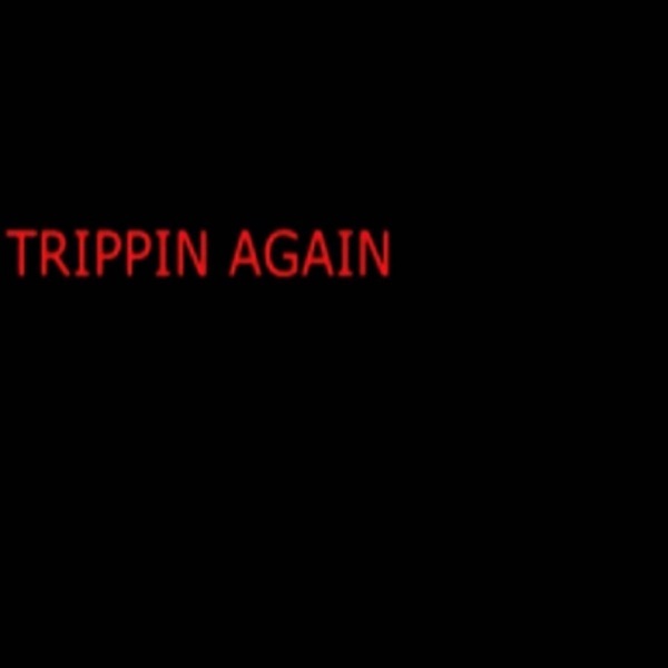 Trippin Again - Single album cover