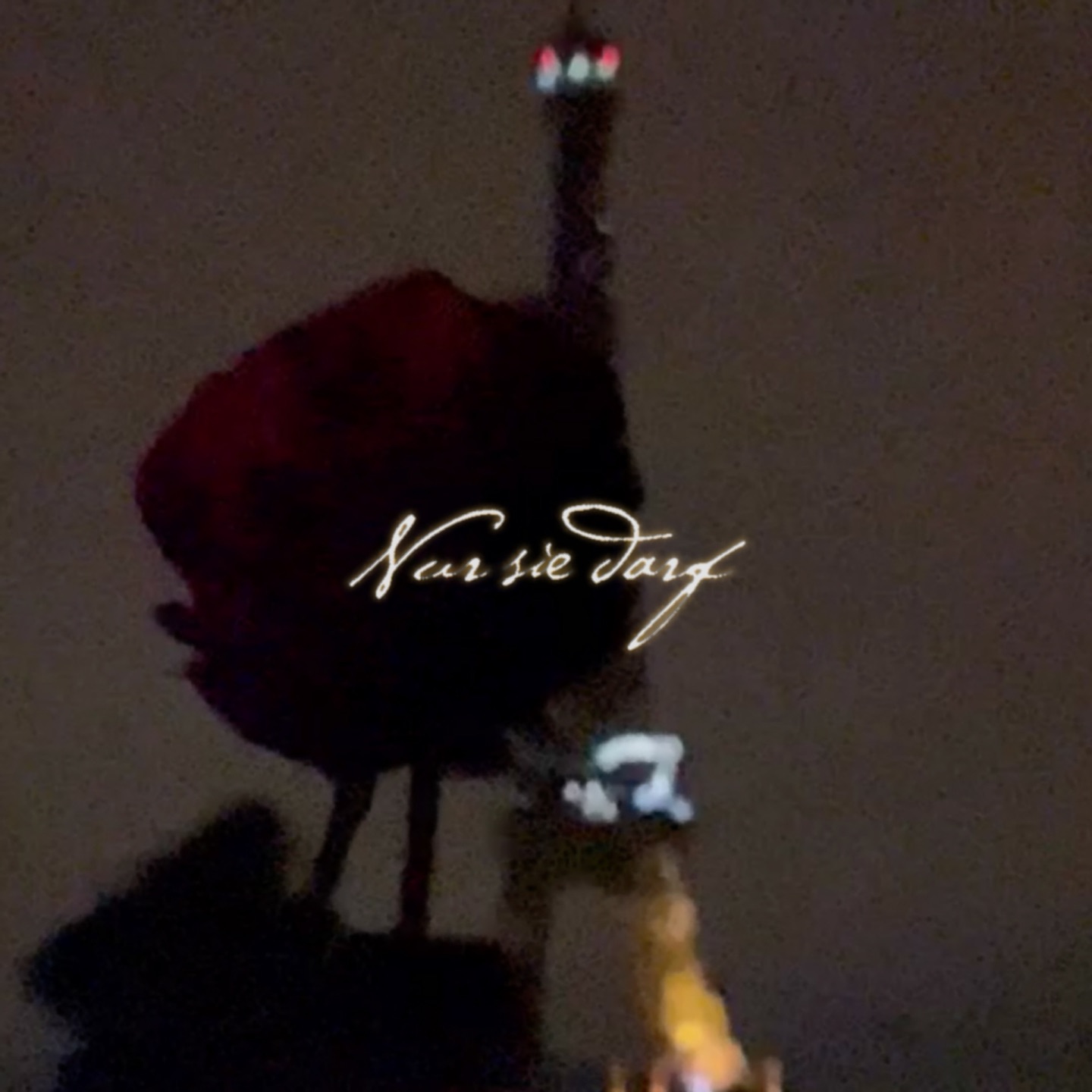 NUR SIE DARF - Single album cover