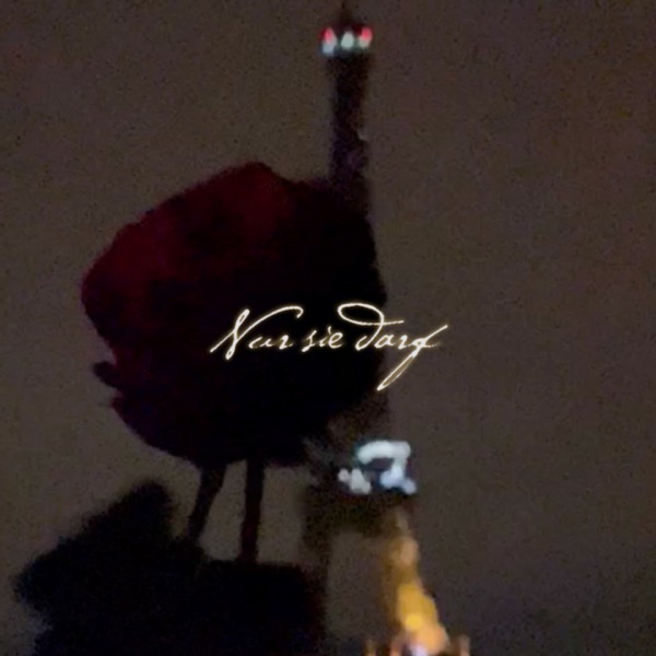 NUR SIE DARF - Single album cover